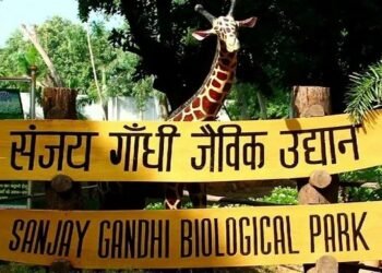 Sanjay Gandhi Biological Park Patna Bihar
