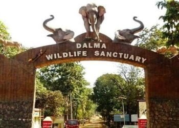 Dalma Wildlife Sanctuary Jamshedpur