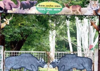 Palamau Tiger Reserve