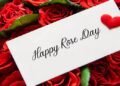 Happy Rose Day 2024