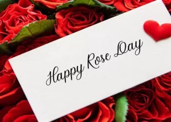 Happy Rose Day 2024