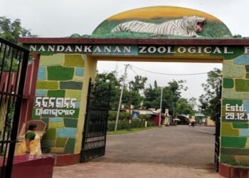 Nandankanan Zoological Park | International Khabar Nandankanan Zoological Park