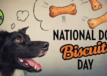 National Dog Biscuit Day