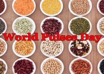 World Pulses Day 2024