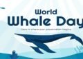 World Whale Day 2024