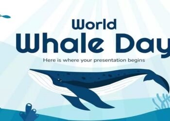 World Whale Day 2024