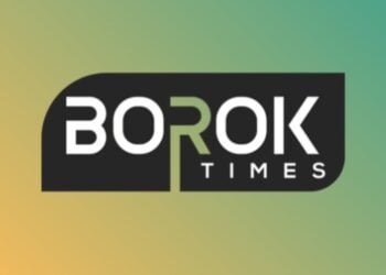 Borok Times