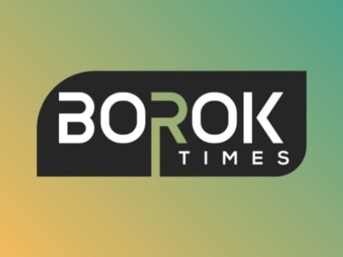 Borok Times