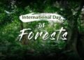 International Day of Forests
