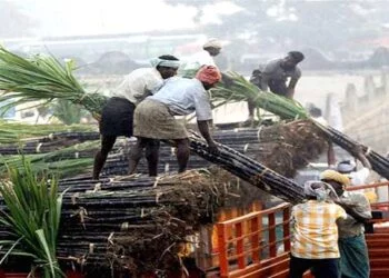 Sugar Industry in India