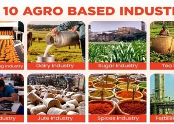 Top 10 Agro Based Industries