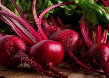 Beets