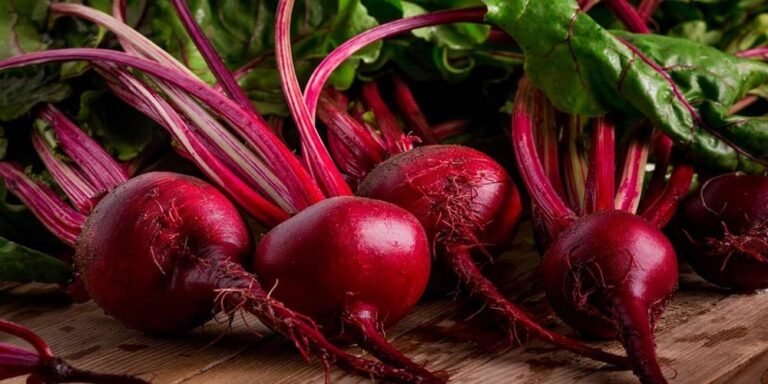 Beets | International Khabar Beets