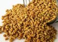 Fenugreek (Methi)