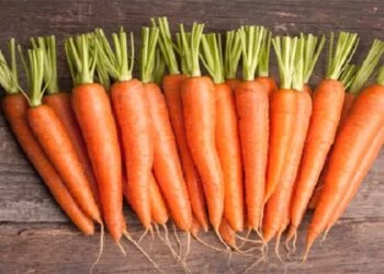 International Carrot Day 2024