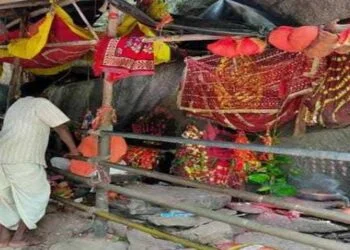 Maa Akarshini Devi