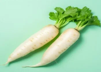 Radish