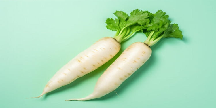 Radish