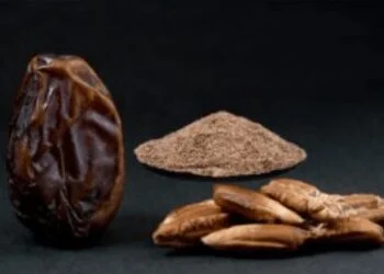 Health benefits of Date Seed Powder