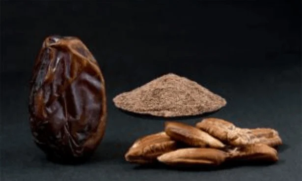 Health benefits of Date Seed Powder