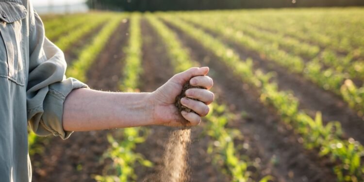 How rising temperatures are altering the food we eat