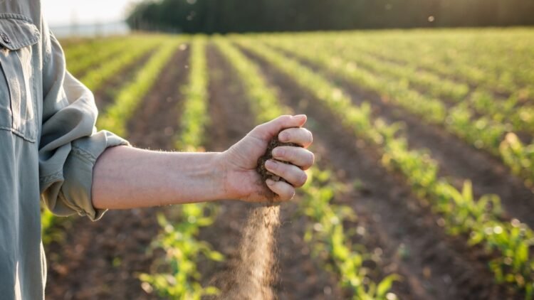 How rising temperatures are altering the food we eat