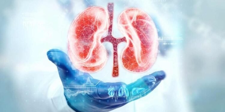 Kidney Cancer | International Khabar Kidney Cancer