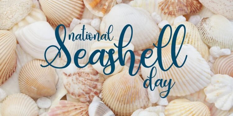 National Seashell Day June 21 2024