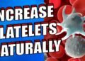 Increase Platelets Naturally