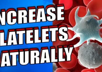 Increase Platelets Naturally
