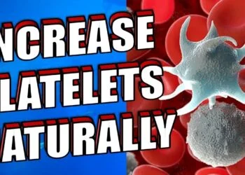 Increase Platelets Naturally