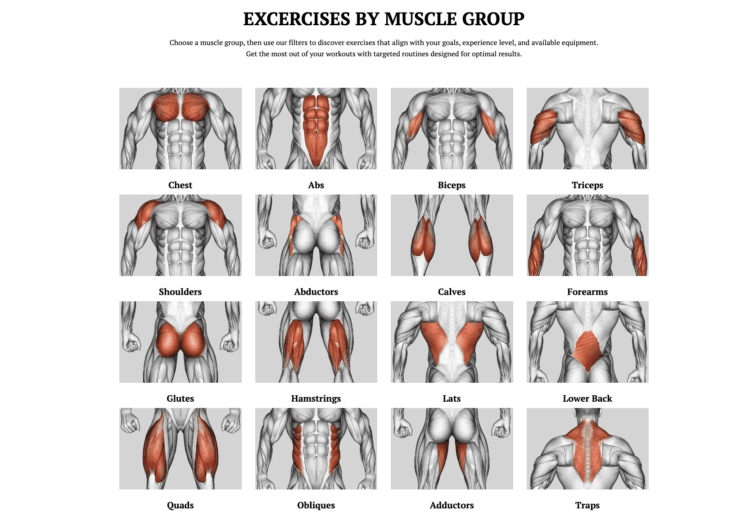 Flexxp.com: Unlock Your Fitness Potential with the Ultimate Workout Generator