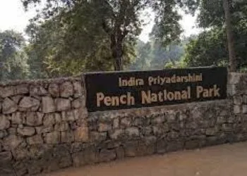 Pench National Park