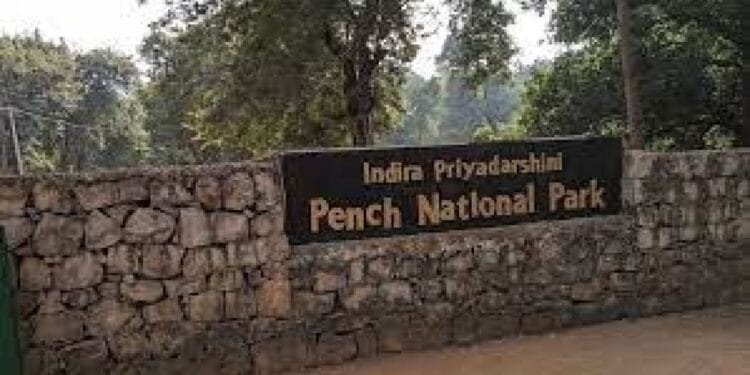 Pench National Park | International Khabar Pench National Park