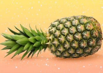 Pineapple