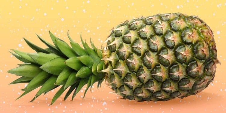 Pineapple