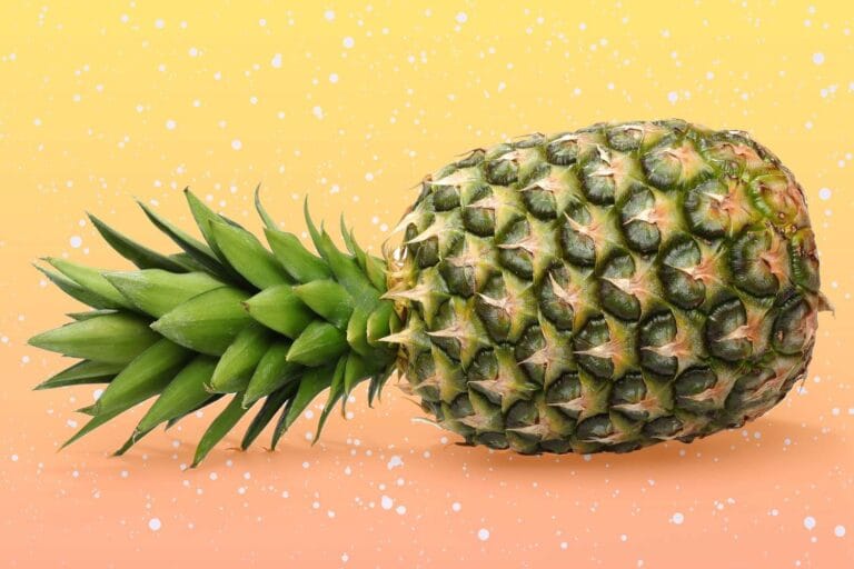 Pineapple | International Khabar Pineapple