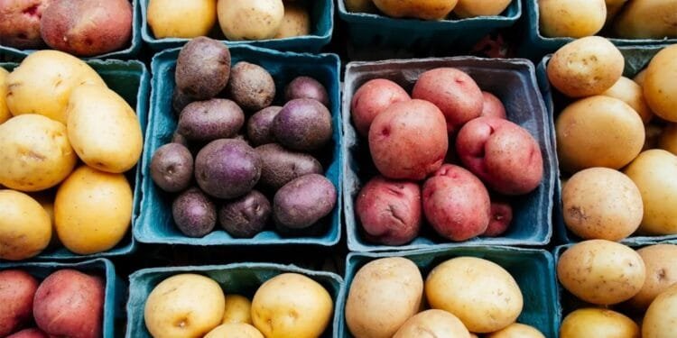 Potatoes and Diabetes | International Khabar Potatoes and Diabetes