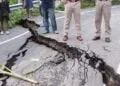 Tripura Government Imposes Restrictions on Vehicle Movement Due to Flood Damage