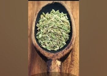 10 seeds that need to be soaked in water to unlock their potential