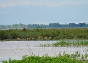 Bijnor Mahotsav: Celebrating a Ramsar Site & The Art of Living’s Remarkable Role in Community-led Conservation