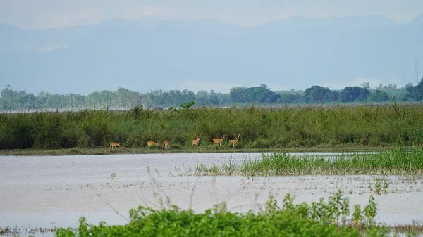 Bijnor Mahotsav Celebrating a Ramsar Site The Art of Livings Remarkable Role in Communityled Conservation | International Khabar Bijnor Mahotsav: Celebrating a Ramsar Site & The Art of Living’s Remarkable Role in Community-led Conservation