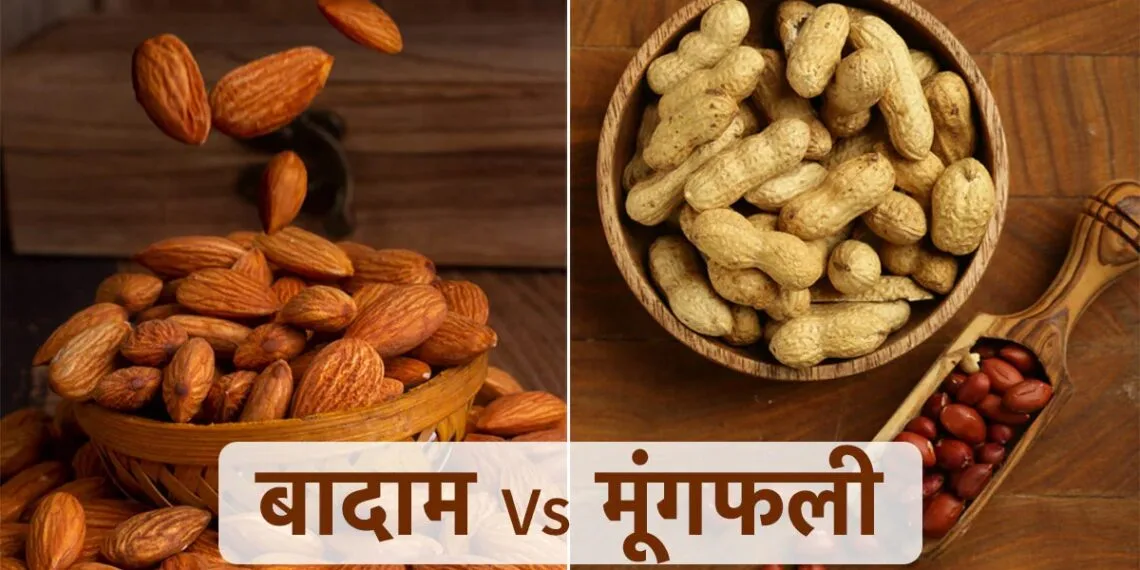 Almonds vs Peanuts | International Khabar Almonds vs Peanuts
