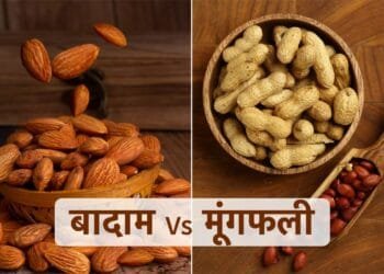 Almonds vs Peanuts | International Khabar Almonds vs Peanuts