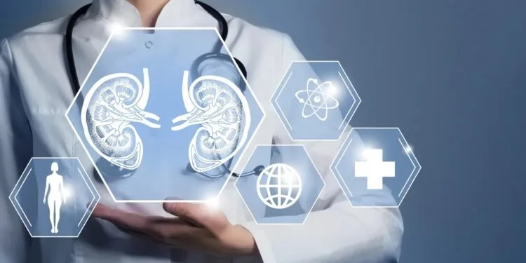 Kidney Health Made Easy 13 Superfoods That Will Supercharge Your Function