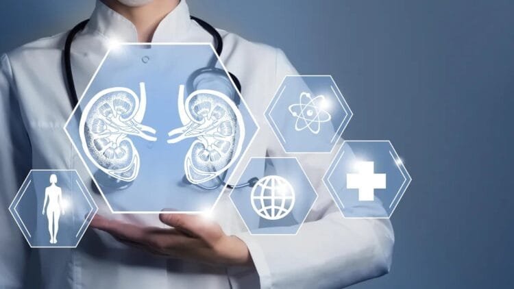 Kidney Health Made Easy 13 Superfoods That Will Supercharge Your Function | International Khabar Kidney Health Made Easy 13 Superfoods That Will Supercharge Your Function