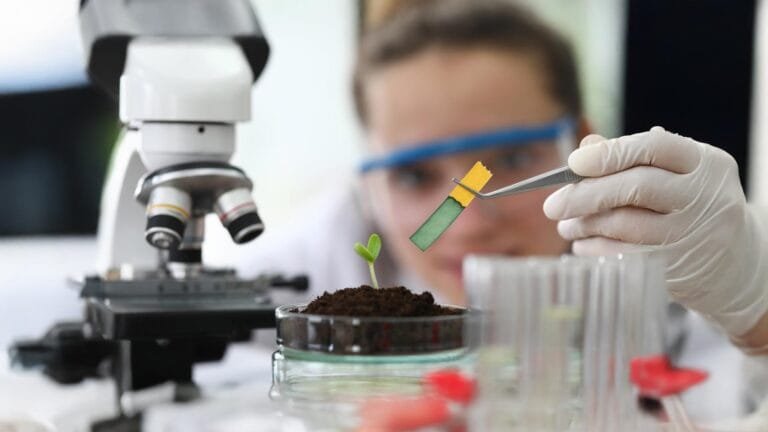 Medical Biotechnology in the Age of Personalised Medicine Preparing Scientists for the Future of Healthcare | International Khabar
