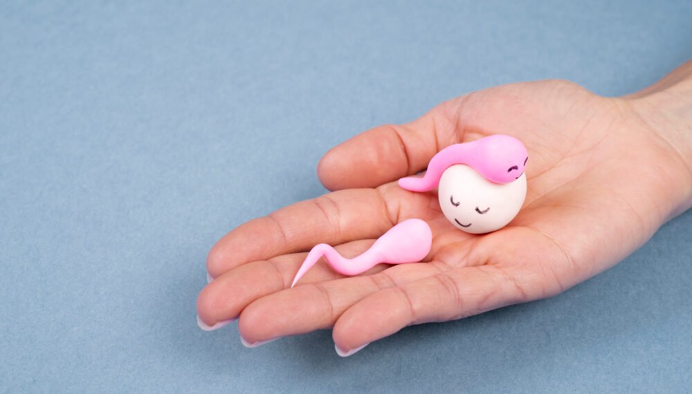 PCOS and Fertility Symptoms Treatment and Test | International Khabar PCOS and Fertility Symptoms Treatment and Test
