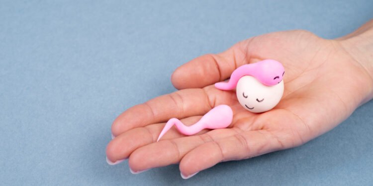 PCOS and Fertility Symptoms Treatment and Test | International Khabar PCOS and Fertility Symptoms Treatment and Test