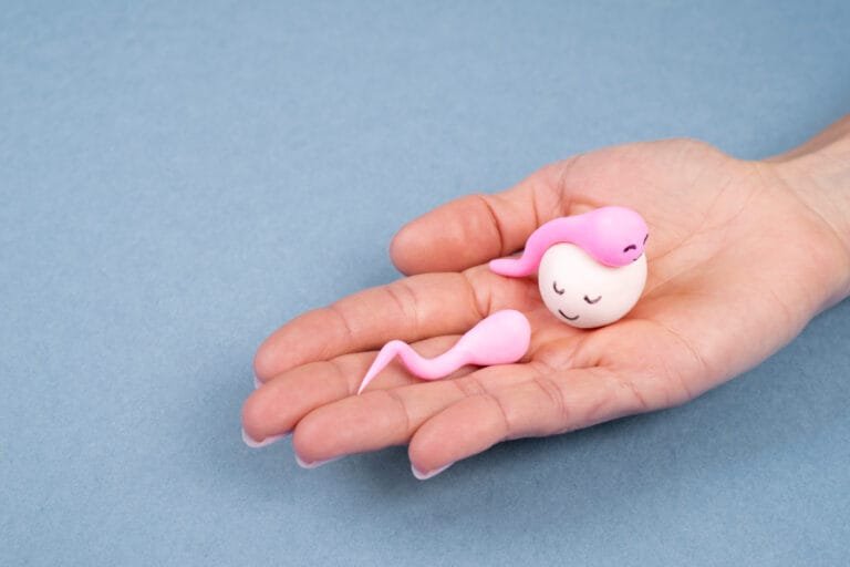 PCOS and Fertility Symptoms Treatment and Test
